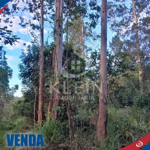 Chácara à venda em Conceição, São Sebastião do Caí