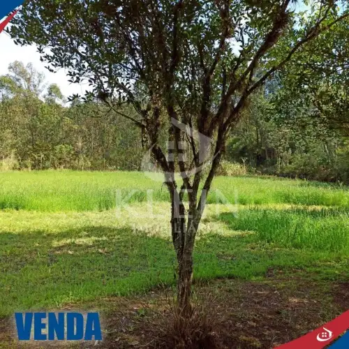 Área de Terras à venda em Conceição, São Sebastião do Caí