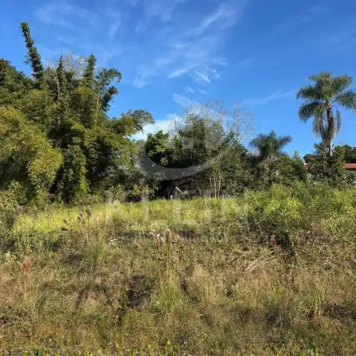 Terreno à venda em Angico, São Sebastião do Caí