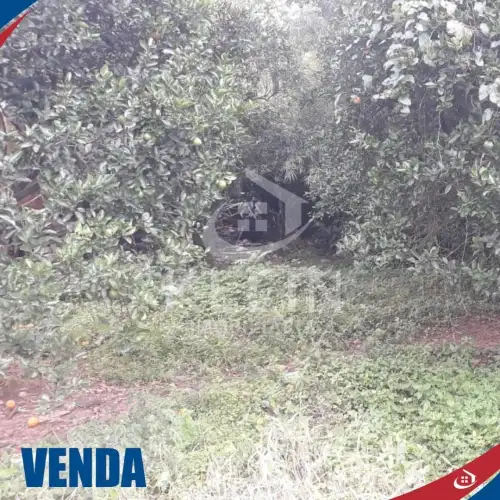 Terreno à venda em São Martins, São Sebastião do Caí