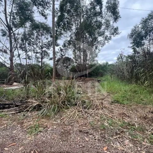 Terreno à venda em Campestre, São Sebastião do Caí