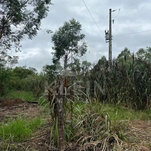 Terreno à venda em Campestre, São Sebastião do Caí