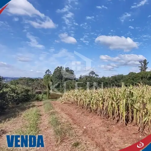 Chácara à venda em Morro Peixoto, Harmonia