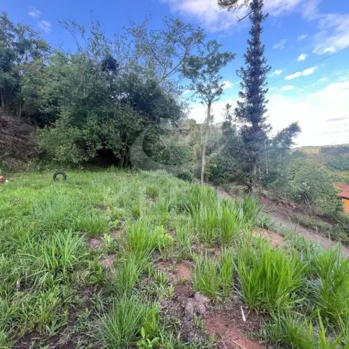 Terreno à venda em Angico, São Sebastião do Caí