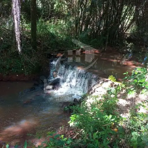 Área de Terras para alugar em Conceição, São Sebastião do Caí