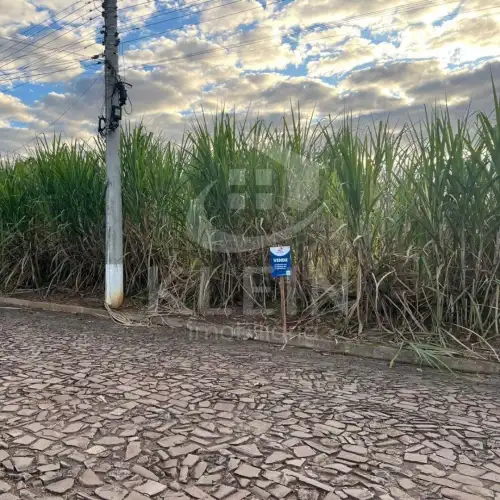 Terreno à venda em Centro, Harmonia