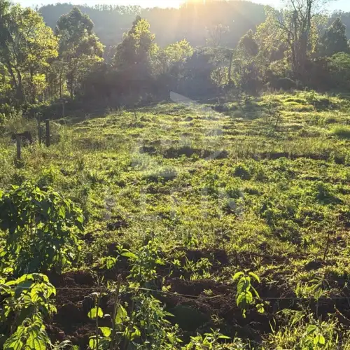 Chácara à venda em Morro da Manteiga, Tupandi