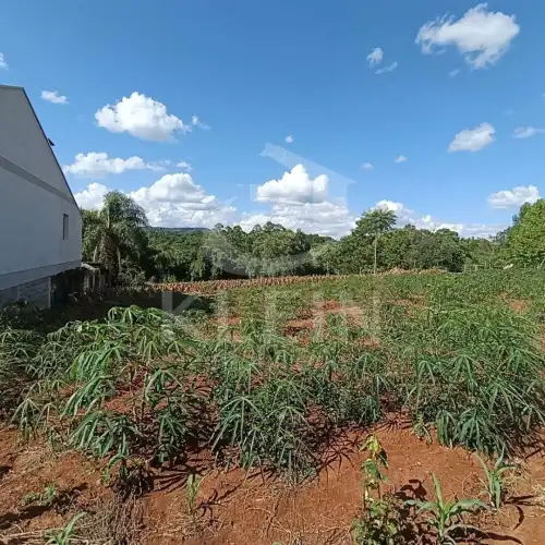 Terreno à venda em Centro, São José do Hortêncio