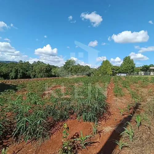 Terreno à venda em Centro, São José do Hortêncio