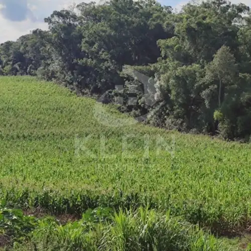 Área de Terras à venda em Arroio Bonito, São José do Hortêncio