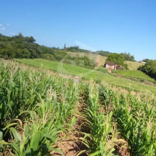 Área de Terras à venda em Arroio Bonito, São José do Hortêncio