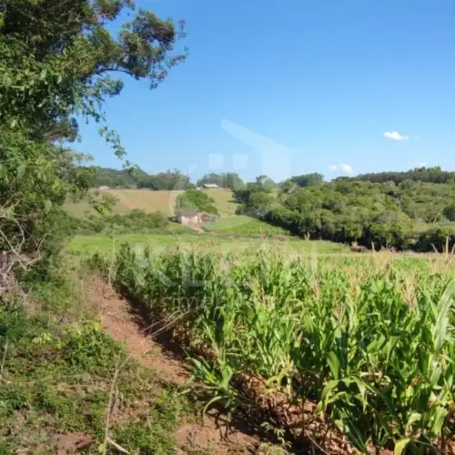 Área de Terras à venda em Arroio Bonito, São José do Hortêncio