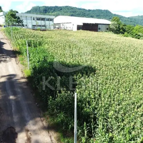 Área de Terras à venda em Piedade, Bom Princípio